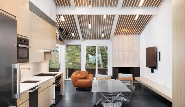 Premier 2 bedroom/2.5 bath Condominium at the Aspen Alps