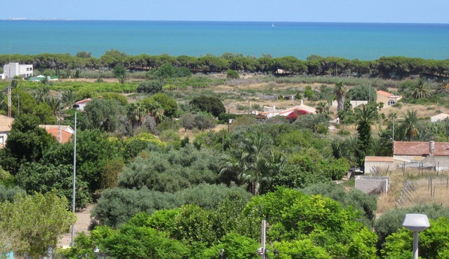 Premier Apartment in La Marina Village -Wow Sea View. 750m country walk to Beach