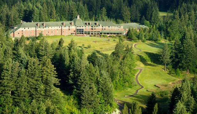 Premier Double Room with Forest Views