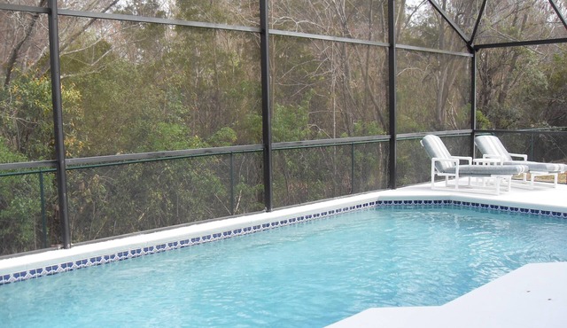 Premier Host-Beautiful 4BR/2BA Pool Home on Conservation Lot - Disney 15 Minutes