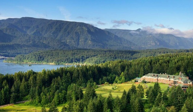 Premier King Room with Fireplace and Forest Views