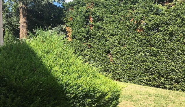 Premiere Classe Saint Etienne Nord - Villars