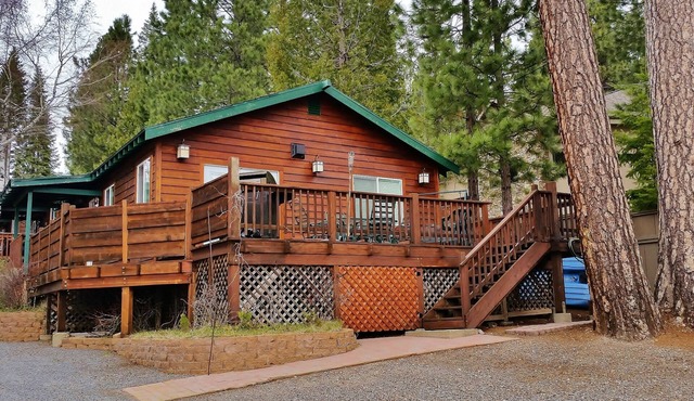 Premiere Family-Friendly Lakeside Cabin, Beautiful Views, Free Dock & Boat Slip