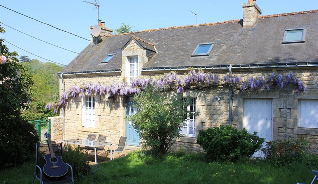 PREMIUM 5 STAR RENTALS