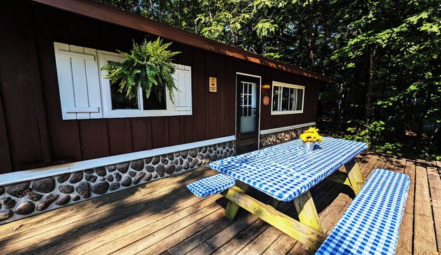Premium Amenities Included! Cabin 8 - POV Resort