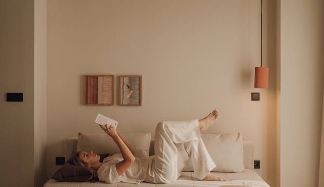 Premium Apartment Pau Suites