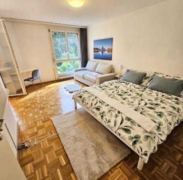 Premium Apartment mit Pilatus Sicht