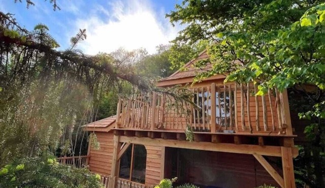 Prenez de la hauteur dans Le Château Des Féés