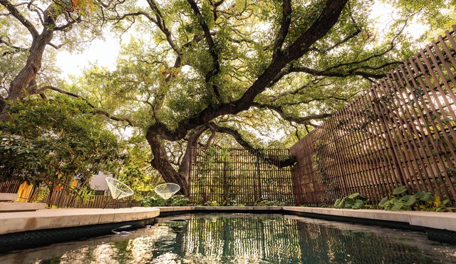 Preservation Austin Home, restored to Midcentury Gloryn