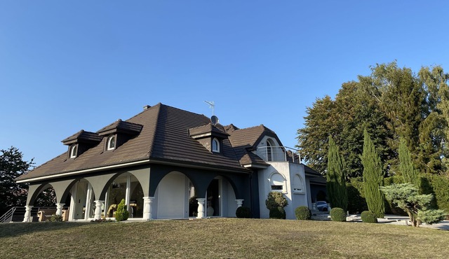 PRESTIGE Exceptional Villa Victoria capacity 10 people 15 min from Strasbourg