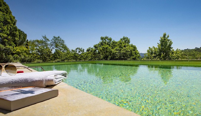 Prestige rental 300 m2 in Chateau in Provence with swimming pool, hammam, sauna