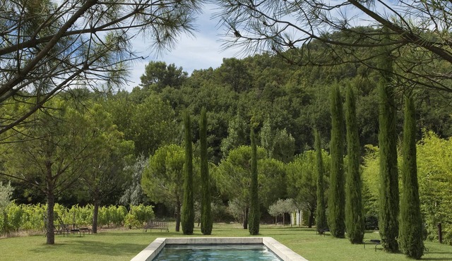 Prestigious estate in Ménerbes. large heated swimming pool. large landscaped grounds.