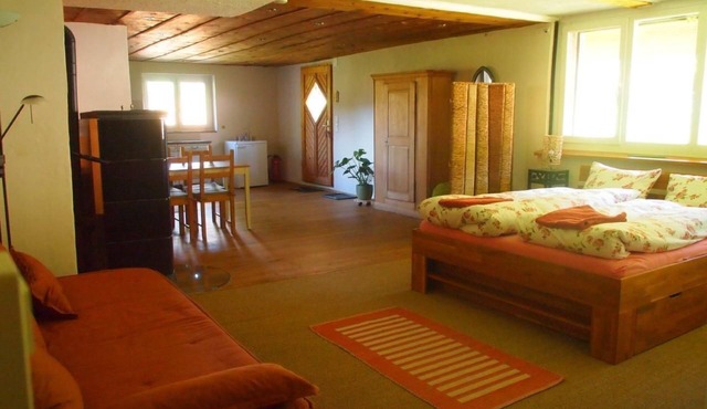 Pretty 2-room flat in converted farmhouse