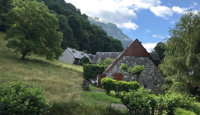 Pretty Chalet with garden