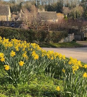 Pretty Cotswold Cottage with garden near Bibury