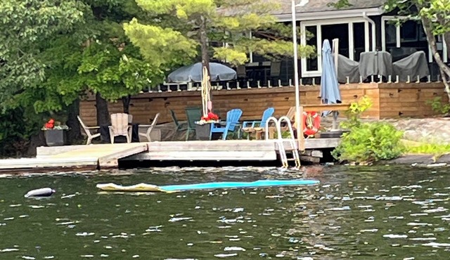 Pretty Cottage - newly renovated cottage on Six Mile Lake - Great swimming