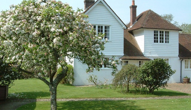 Pretty cottage with direct access to The New Forest