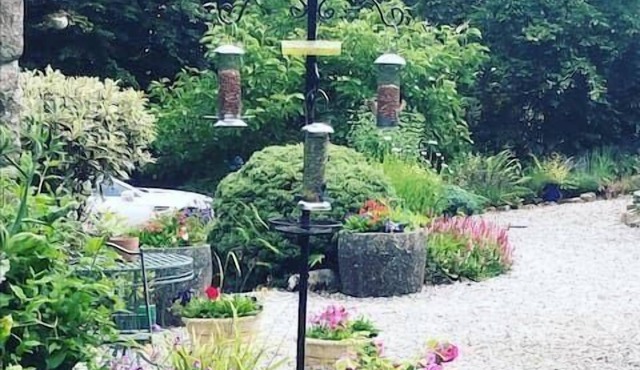 Pretty country house Rosemary