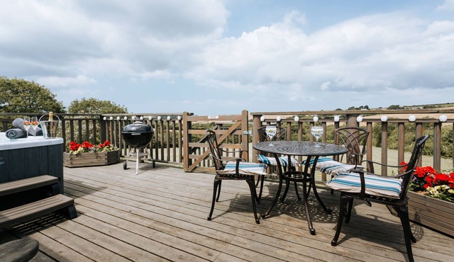 Pretty dog-friendly barn w/hot tub & country views