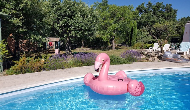 Pretty family villa Provence Gorges du Verdon Swimming pool Lac de Ste Croix PACA