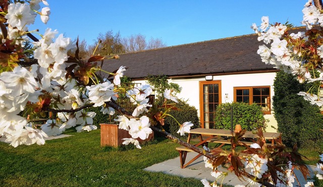 Pretty holiday cottage at Hawthorn Farm with lovely views of the donkey paddocks