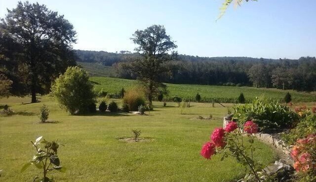 Pretty House classified 3 stars near Brantome with pool