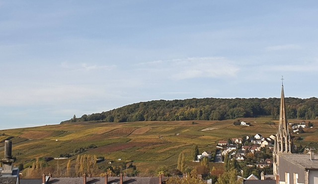 Pretty house for 6 people Epernay meme