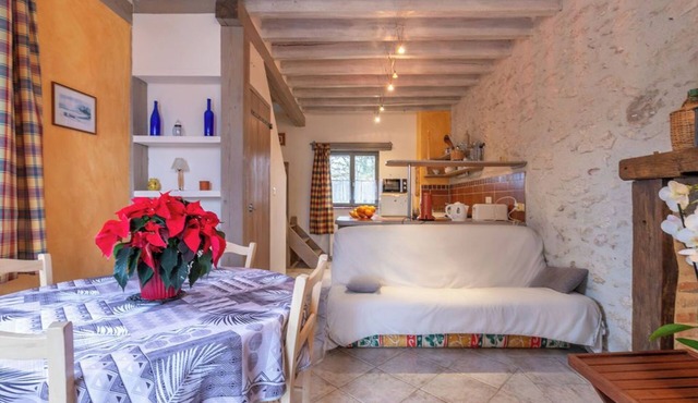 Pretty little Solognot apartment