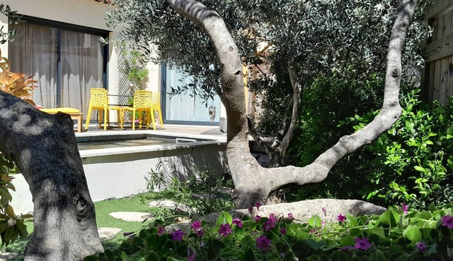 Pretty little house with swimming pool between Mont Ventoux and Luberon