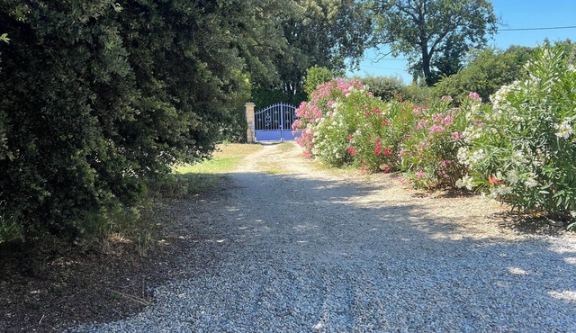 Pretty Provencal house in a medieval village