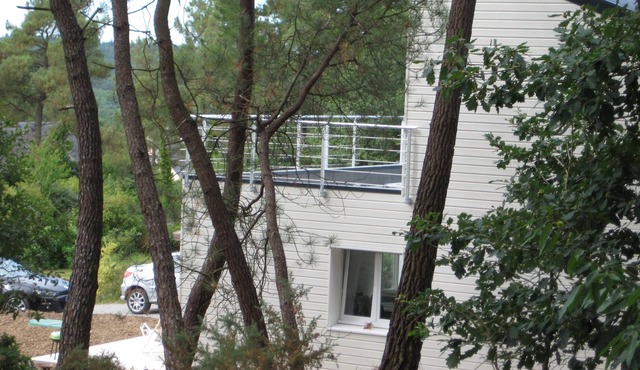 Pretty room between landscape and green nature