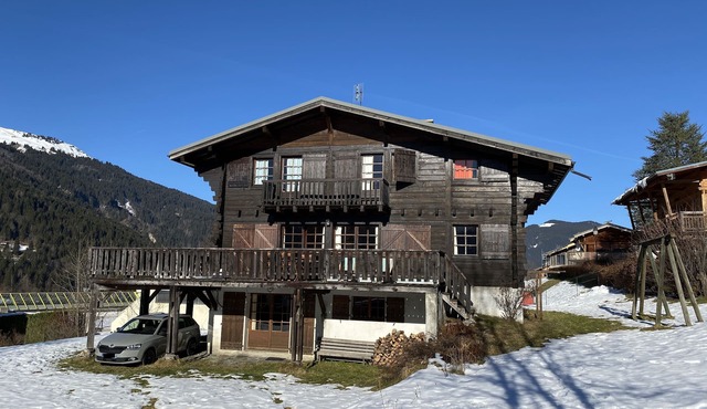 Pretty Savoyard wooden chalet, 5 minutes from the village center, south-facing terrace