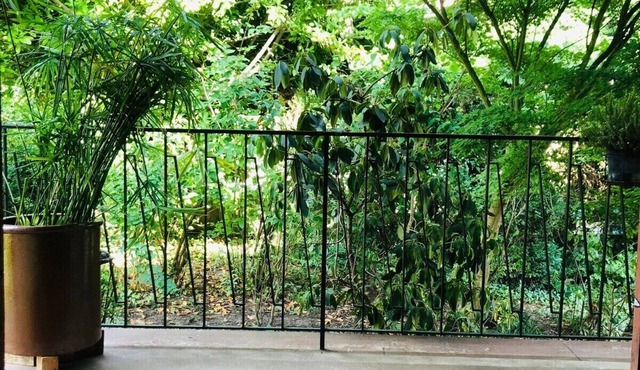 Pretty, spacious gite surrounded by greenery