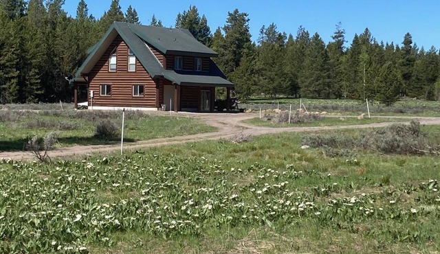 Price Drop! Outland Meadows Cabin Near Yellowstone Park