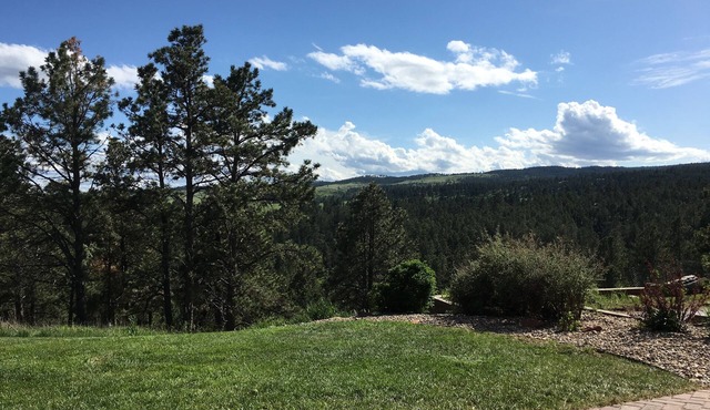 Priceless Black Hills View!