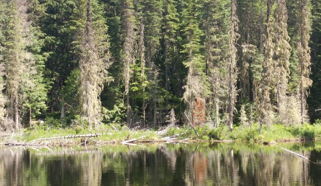 Priest Lake Reeder Bay Retreat on 3 Acres 3 Bedroom 2 Bath Sleeps 8