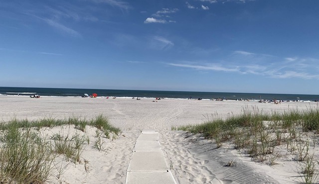 Prime Beach House & Huge Private Back Yard - Steps to the beach & Shark Park!