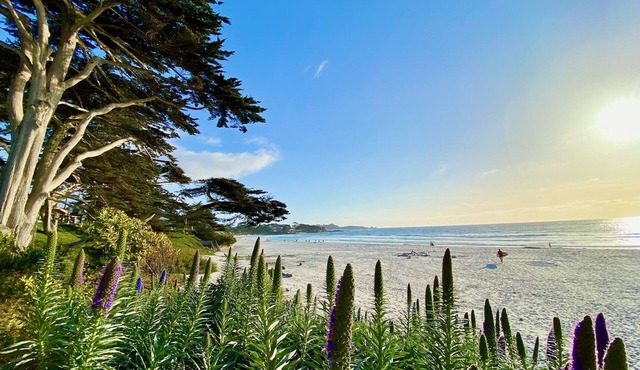 PRIME DOWNTOWN LOCATION-2br/2bath/office-Charming Cottage
