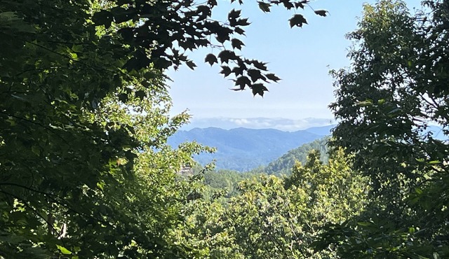 Prime Location 1.5 miles to Ober Gatlinburg