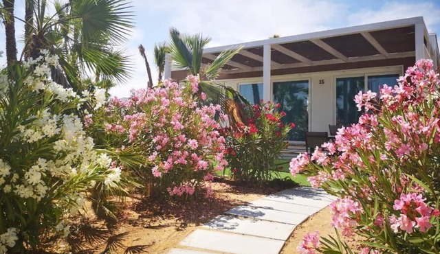 Prime Location! 3 Family-friendly Cabins with Kitchens, 3 Swimming Pools!