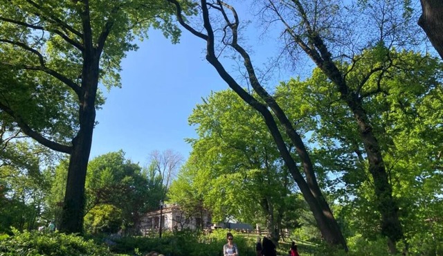 PRIME STUDIO GEM IN FRONT OF FORT GREENE PARK, BROOKLYN.