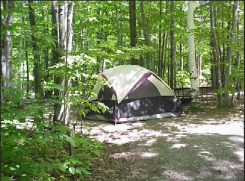 Primitive Camp Sites