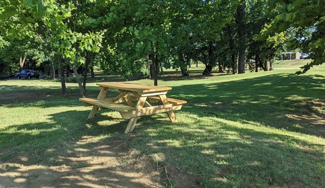 Primitive Riverside Camping with picnic table, from, and pet friendly
