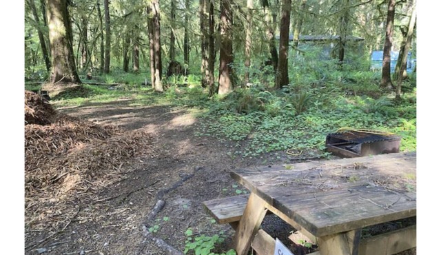Primitive Tent Site #7- Beautiful Forested Property