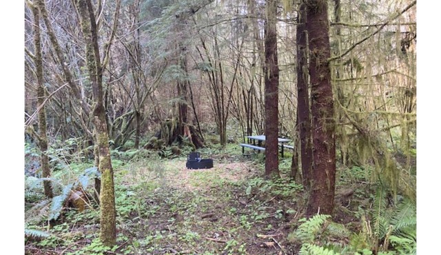 Primitive Tent Site #8- Beautiful Forested Property