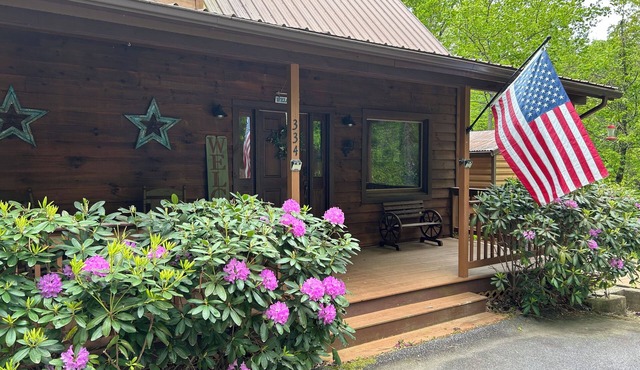 Prince Oswald's Tiger Tree House - Charming 3-bedroom Cabin in Tiger, GA