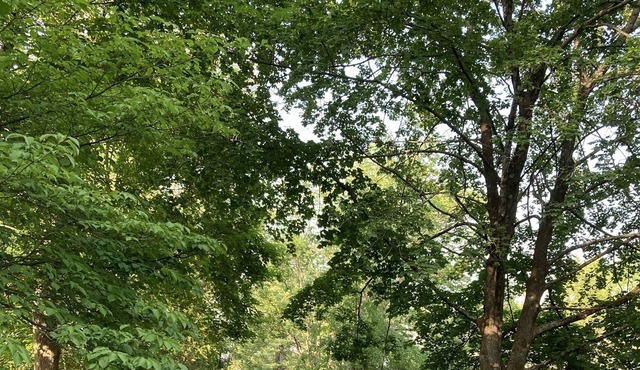 Princeton Rosedale House