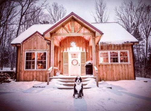 Pristine and Cozy Cabin Rental Overlooking Pond near Rochester, New York