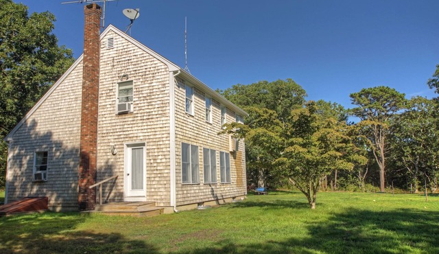 Pristine Chappy! Prime August weeks 2026!