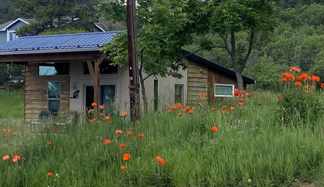 Pristine New Modern Bungalow At the Base of The National Forest; 1 Acre of land